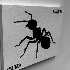 Ant 63