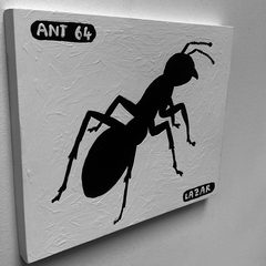 Ant 64