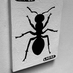 Ant 65