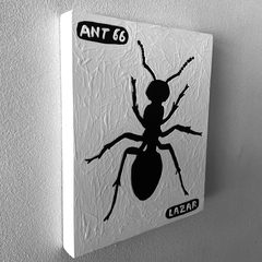 Ant 66