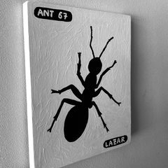 Ant 67