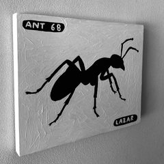 Ant 68
