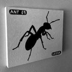 Ant 69