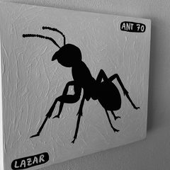 Ant 70