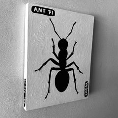 Ant 71