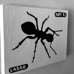 Ant 72
