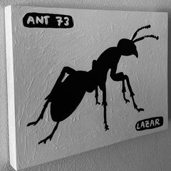 Ant 73