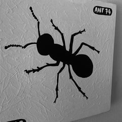 Ant 74