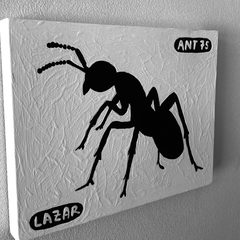 Ant 75