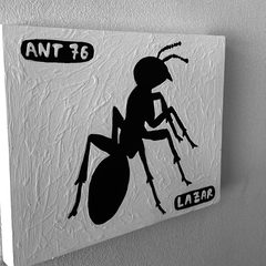 Ant 76