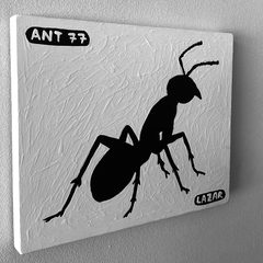 Ant 77