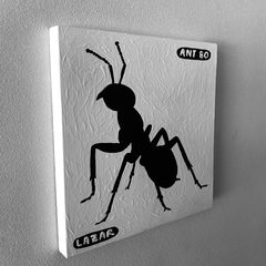 Ant 80