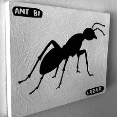 Ant 81