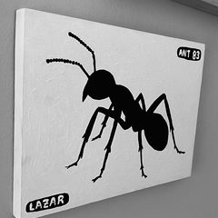 Ant 83