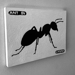 Ant 84