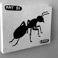Ant 85