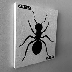 Ant 86