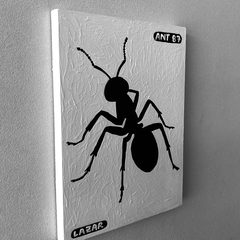 Ant 87