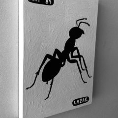 Ant 89