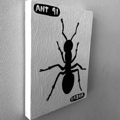 Ant 91