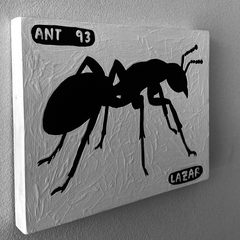 Ant 93