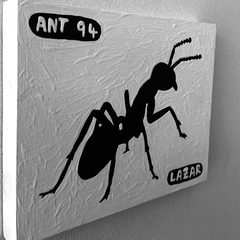 Ant 94