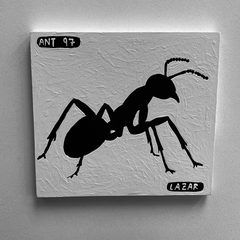 Ant 97