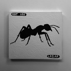 Ant 100