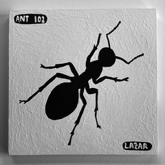 Ant 102