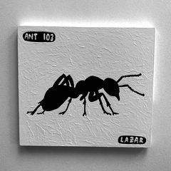 Ant 103