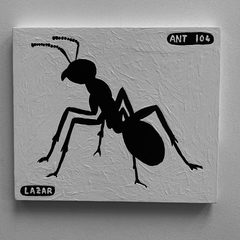 Ant 104