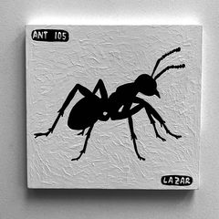 Ant 105