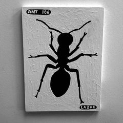 Ant 106