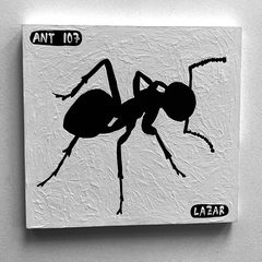 Ant 107