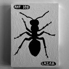 Ant 108