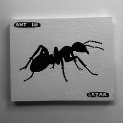 Ant 111