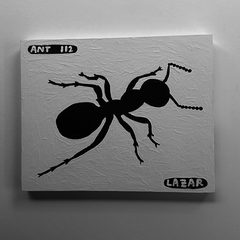 Ant 112