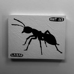 Ant 113