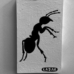 Ant 114