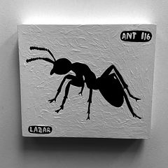Ant 116