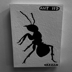 Ant 117