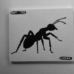 Ant 118