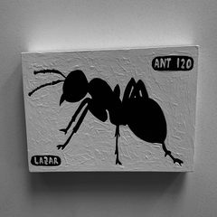 Ant 120