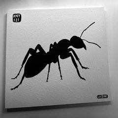 Ant 121