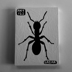 Ant 123