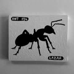 Ant 124