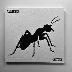 Ant 127