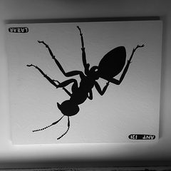 Ant 131