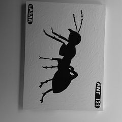 Ant 132