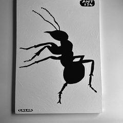 Ant 134